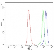 Flow cytometry testing of human HEL cells with TTLL12 antibody at 1ug/million cells (blocked with goat sera); Red=cells alone, Green=isotype control, Blue= TTLL12 antibody.