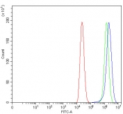 Flow cytometry testing of human Caco-2 cells with TTLL12 antibody at 1ug/million cells (blocked with goat sera); Red=cells alone, Green=isotype control, Blue= TTLL12 antibody.