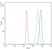 Flow cytometry testing of human HL-60 cells with RNF44 antibody at 1ug/million cells (blocked with goat sera); Red=cells alone, Green=isotype control, Blue= RNF44 antibody.