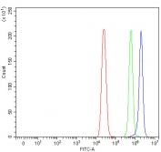 Flow cytometry testing of human MCF7 cells with RNF212B antibody at 1ug/million cells (blocked with goat sera); Red=cells alone, Green=isotype control, Blue= RNF212B antibody.