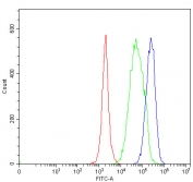 Flow cytometry testing of human U937 cells with CD59 antibody at 1ug/million cells (blocked with goat sera); Red=cells alone, Green=isotype control, Blue= CD59 antibody.