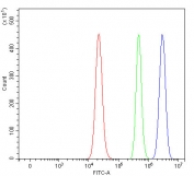 Flow cytometry testing of human RT4 cells with RPAIN antibody at 1ug/million cells (blocked with goat sera); Red=cells alone, Green=isotype control, Blue= RPAIN antibody.