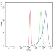 Flow cytometry testing of human U-2 OS cells with STX6 antibody at 1ug/million cells (blocked with goat sera); Red=cells alone, Green=isotype control, Blue= STX6 antibody.