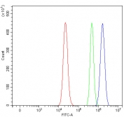 Flow cytometry testing of human RT7 cells with SWAN antibody at 1ug/million cells (blocked with goat sera); Red=cells alone, Green=isotype control, Blue= SWAN antibody.