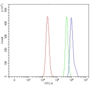 Flow cytometry testing of human RT4 cells with UHRF1 antibody at 1ug/million cells (blocked with goat sera); Red=cells alone, Green=isotype control, Blue= UHRF1 antibody.