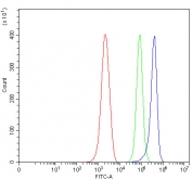 Flow cytometry testing of mouse ANA-1 cells with Cd39 antibody at 1ug/million cells (blocked with goat sera); Red=cells alone, Green=isotype control, Blue= Cd39 antibody.