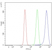 Flow cytometry testing of human HepG2 cells with Sphingosine kinase 1 antibody at 1ug/million cells (blocked with goat sera); Red=cells alone, Green=isotype control, Blue= Sphingosine kinase 1 antibody.