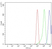 Flow cytometry testing of human PC-3 cells with B7-H3 antibody at 1ug/million cells (blocked with goat sera); Red=cells alone, Green=isotype control, Blue= B7-H3 antibody.