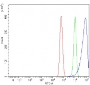 Flow cytometry testing of human U-87 MG cells with TMEM50B antibody at 1ug/million cells (blocked with goat sera); Red=cells alone, Green=isotype control, Blue= TMEM50B antibody.