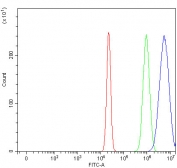 Flow cytometry testing of human U-2 OS cells with RAG2 antibody at 1ug/million cells (blocked with goat sera); Red=cells alone, Green=isotype control, Blue= RAG2 antibody.