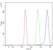 Flow cytometry testing of human HepG2 cells with RHBDF2 antibody at 1ug/million cells (blocked with goat sera); Red=cells alone, Green=isotype control, Blue= RHBDF2 antibody.