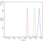 Flow cytometry testing of human HepG2 cells with PTPIP51 antibody at 1ug/million cells (blocked with goat sera); Red=cells alone, Green=isotype control, Blue= PTPIP51 antibody.
