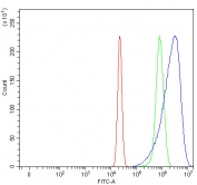 Flow cytometry testing of human U-2 OS cells with HBBM antibody at 1ug/million cells (blocked with goat sera); Red=cells alone, Green=isotype control, Blue= HBBM antibody.