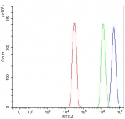 Flow cytometry testing of human SiHa cells with mRNA-capping enzyme antibody at 1ug/million cells (blocked with goat sera); Red=cells alone, Green=isotype control, Blue= mRNA-capping enzyme antibody.