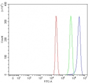 Flow cytometry testing of human HepG2 cells with Ras and Rab interactor 1 antibody at 1ug/million cells (blocked with goat sera); Red=cells alone, Green=isotype control, Blue= Ras and Rab interactor 1 antibody.