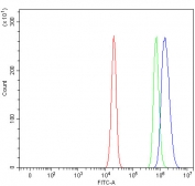 Flow cytometry testing of human U-2 OS cells with RIT2 antibody at 1ug/million cells (blocked with goat sera); Red=cells alone, Green=isotype control, Blue= RIT2 antibody.