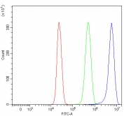 Flow cytometry testing of human HepG2 cells with RPGRIP1L antibody at 1ug/million cells (blocked with goat sera); Red=cells alone, Green=isotype control, Blue= RPGRIP1L antibody.
