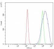 Flow cytometry testing of human HEL cells with ITGA2B antibody at 1ug/million cells (blocked with goat sera); Red=cells alone, Green=isotype control, Blue= ITGA2B antibody.