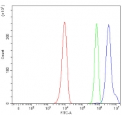 Flow cytometry testing of human HeLa cells with NNP1 antibody at 1ug/million cells (blocked with goat sera); Red=cells alone, Green=isotype control, Blue= NNP1 antibody.