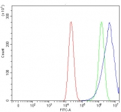 Flow cytometry testing of human Caco-2 cells with Rhotekin antibody at 1ug/million cells (blocked with goat sera); Red=cells alone, Green=isotype control, Blue= Rhotekin antibody.