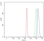 Flow cytometry testing of human U-2 OS cells with RUNDC1 antibody at 1ug/million cells (blocked with goat sera); Red=cells alone, Green=isotype control, Blue= RUNDC1 antibody.