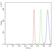 Flow cytometry testing of human U937 cells with BCAP antibody at 1ug/million cells (blocked with goat sera); Red=cells alone, Green=isotype control, Blue= BCAP antibody.
