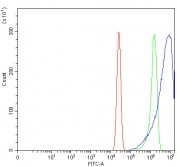 Flow cytometry testing of human A431 cells with RPS17 antibody at 1ug/million cells (blocked with goat sera); Red=cells alone, Green=isotype control, Blue= RPS17 antibody.