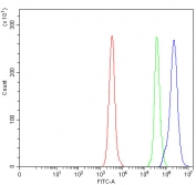 Flow cytometry testing of human Daudi cells with OGFOD2 antibody at 1ug/million cells (blocked with goat sera); Red=cells alone, Green=isotype control, Blue= OGFOD2 antibody.