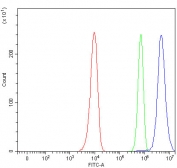 Flow cytometry testing of human HeLa cells with TSEN54 antibody at 1ug/million cells (blocked with goat sera); Red=cells alone, Green=isotype control, Blue= TSEN54 antibody.