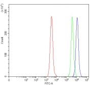 Flow cytometry testing of human Daudi cells with RTF1 antibody at 1ug/million cells (blocked with goat sera); Red=cells alone, Green=isotype control, Blue= RTF1 antibody.