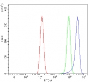 Flow cytometry testing of human HEL cells with RAB44 antibody at 1ug/million cells (blocked with goat sera); Red=cells alone, Green=isotype control, Blue= RAB44 antibody.