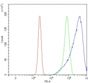 Flow cytometry testing of human U-2 OS cells with TMEM87A antibody at 1ug/million cells (blocked with goat sera); Red=cells alone, Green=isotype control, Blue= TMEM87A antibody.