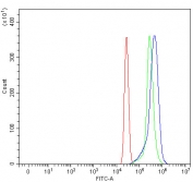 Flow cytometry testing of human U937 cells with TMEM132B antibody at 1ug/million cells (blocked with goat sera); Red=cells alone, Green=isotype control, Blue= TMEM132B antibody.