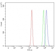 Flow cytometry testing of human U-2 OS cells with RSBN1 antibody at 1ug/million cells (blocked with goat sera); Red=cells alone, Green=isotype control, Blue= RSBN1 antibody.
