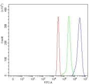 Flow cytometry testing of human U937 cells with OXER1 antibody at 1ug/million cells (blocked with goat sera); Red=cells alone, Green=isotype control, Blue= OXER1 antibody.