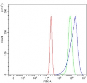 Flow cytometry testing of human U-2 OS cells with PATE1 antibody at 1ug/million cells (blocked with goat sera); Red=cells alone, Green=isotype control, Blue= PATE1 antibody.