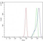 Flow cytometry testing of human HeLa cells with PITPNB antibody at 1ug/million cells (blocked with goat sera); Red=cells alone, Green=isotype control, Blue= PITPNB antibody.