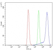 Flow cytometry testing of human Raji cells with CD45 antibody at 1ug/million cells (blocked with goat sera); Red=cells alone, Green=isotype control, Blue= CD45 antibody.