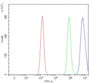 Flow cytometry testing of human HEL cells with Profilin 3 antibody at 1ug/million cells (blocked with goat sera); Red=cells alone, Green=isotype control, Blue= Profilin 3 antibody.