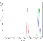 Flow cytometry testing of human ThP-1 cells with RTL3 antibody at 1ug/million cells (blocked with goat sera); Red=cells alone, Green=isotype control, Blue= RTL3 antibody.