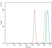 Flow cytometry testing of human Caco-2 cells with OIT3 antibody at 1ug/million cells (blocked with goat sera); Red=cells alone, Green=isotype control, Blue= OIT3 antibody.