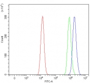 Flow cytometry testing of human HEL cells with SMCR8 antibody at 1ug/million cells (blocked with goat sera); Red=cells alone, Green=isotype control, Blue= SMCR8 antibody.