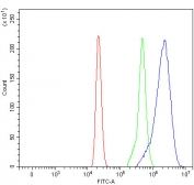 Flow cytometry testing of human HL60 cells with 40S ribosomal protein S14 antibody at 1ug/million cells (blocked with goat sera); Red=cells alone, Green=isotype control, Blue= 40S ribosomal protein S14 antibody.