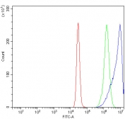 Flow cytometry testing of human K562 cells with AlaRS antibody at 1ug/million cells (blocked with goat sera); Red=cells alone, Green=isotype control, Blue= AlaRS antibody.