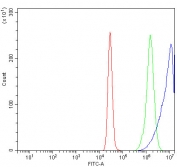 Flow cytometry testing of human K562 cells with ATIC antibody at 1ug/million cells (blocked with goat sera); Red=cells alone, Green=isotype control, Blue= ATIC antibody.