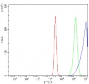 Flow cytometry testing of human K562 cells with ATIC antibody at 1ug/million cells (blocked with goat sera); Red=cells alone, Green=isotype control, Blue= ATIC antibody.