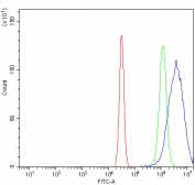 Flow cytometry testing of mouse HEPA1-6 cells with Death-associated protein kinase 3 antibody at 1ug/million cells (blocked with goat sera); Red=cells alone, Green=isotype control, Blue= Death-associated protein kinase 3 antibody.