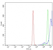 Flow cytometry testing of human K562 cells with FUBP2 antibody at 1ug/million cells (blocked with goat sera); Red=cells alone, Green=isotype control, Blue= FUBP2 antibody.