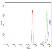 Flow cytometry testing of human fixed and permeabilized K562 cells with FUBP2 antibody at 1ug/million cells (blocked with goat sera); Red=cells alone, Green=isotype control, Blue= FUBP2 antibody.