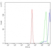 Flow cytometry testing of human K562 cells with PRDM3 antibody at 1ug/million cells (blocked with goat sera); Red=cells alone, Green=isotype control, Blue= PRDM3 antibody.